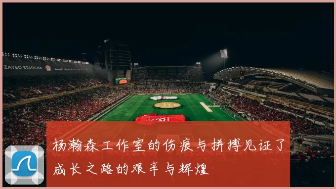 杨瀚森工作室的伤痕与拼搏见证了成长之路的艰辛与辉煌