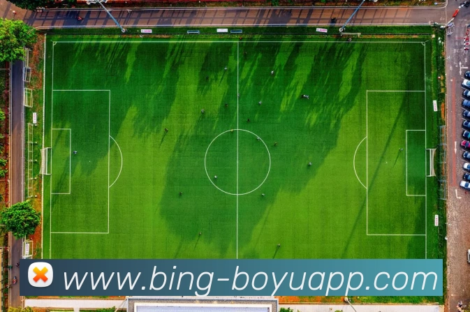 博鱼体育品牌故事